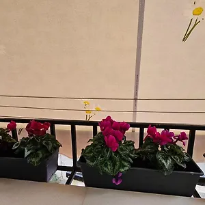 Apartment Center, Tirana